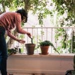 10-healthy-home-design-tips-from-the-world’s-longest-lived-people