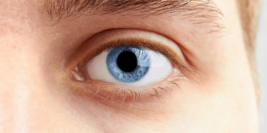 the-eyes-have-it:-why-his-eyes-dilate-when-he-looks-at-you 