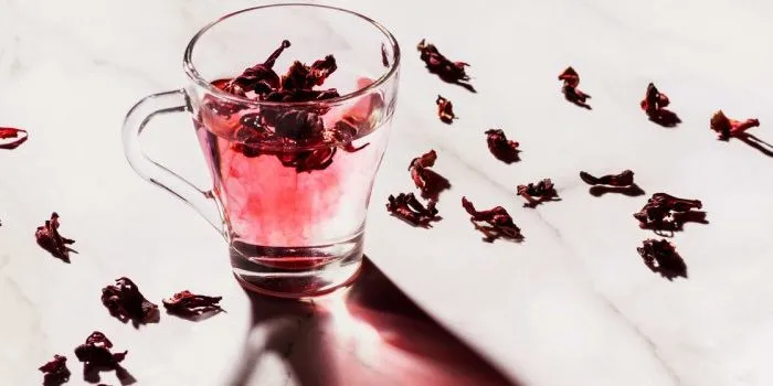 sip-this-tea-daily-to-stop-cellular-damage-in-its-tracks