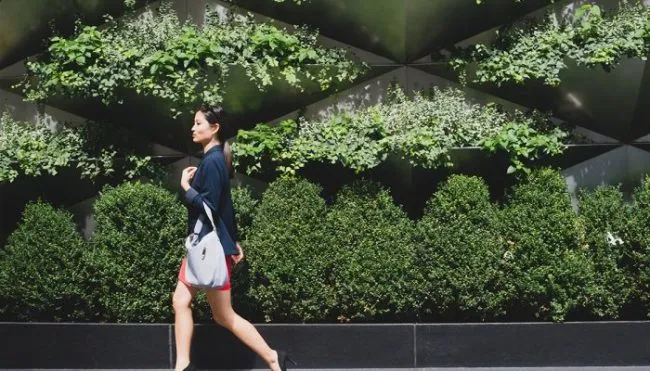 if-you-love-matcha,-you-have-to-try-this-mood-lifting-focus-supplement*