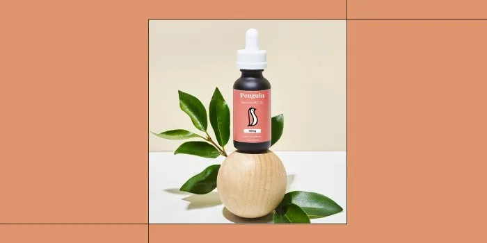 best-cbd-oil-for-cats