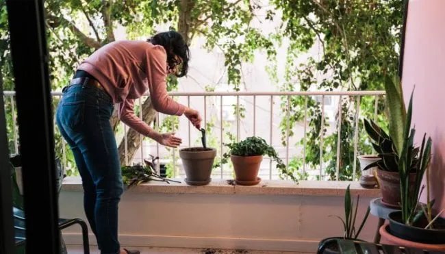 10-healthy-home-design-tips-from-the-world’s-longest-lived-people