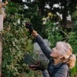 study-shows-cognitive-longevity-depends-on-these-3-critical-vitamins