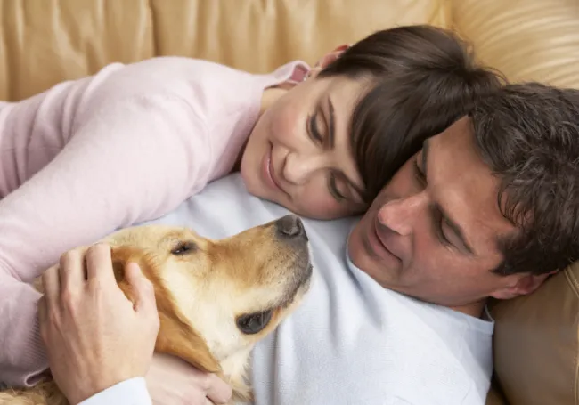 happily-ever-after:-the-top-6-zodiac-signs-that-make-the-best-partners-for-cancers