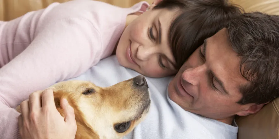 happily-ever-after:-the-top-6-zodiac-signs-that-make-the-best-partners-for-cancers