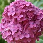 from-self-care-to-altruism:-mastering-the-power-of-compassion