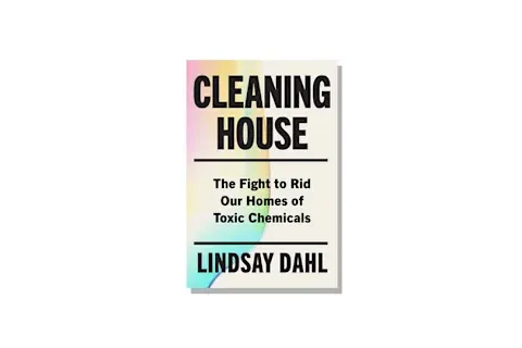 Cleaning House by Lindsay Dahl book