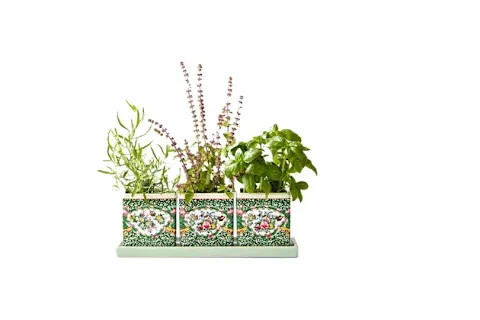 Elegant ceramic planter for cultivating herbs and brightening a windowsill.