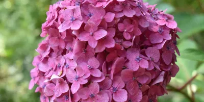 from-self-care-to-altruism:-mastering-the-power-of-compassion