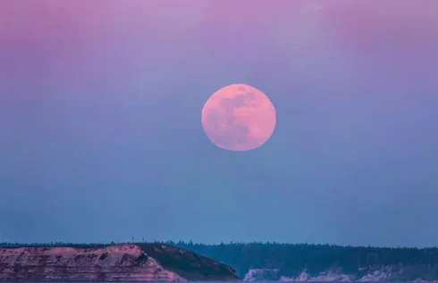 What The Pink Moon Is All About & How To Work With Its Energy What The Pink Moon Is All About & How To Work With Its Energy