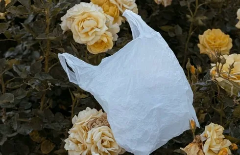 How To Reuse & Recycle That Pile Of Plastic Bags Under Your Sink How To Reuse & Recycle That Pile Of Plastic Bags Under Your Sink