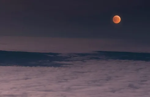 This Zodiac Sign Will Have A Fresh Start Under 2021's Final Full Moon This Zodiac Sign Will Have A Fresh Start Under 2021's Final Full Moon